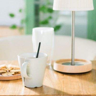 飞哥与小佛保龄球